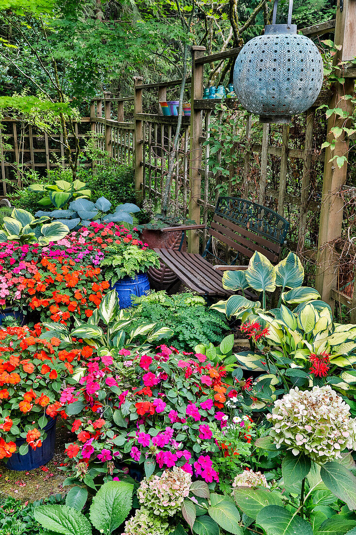 Garden in full bloom, Sammamish, Washington State