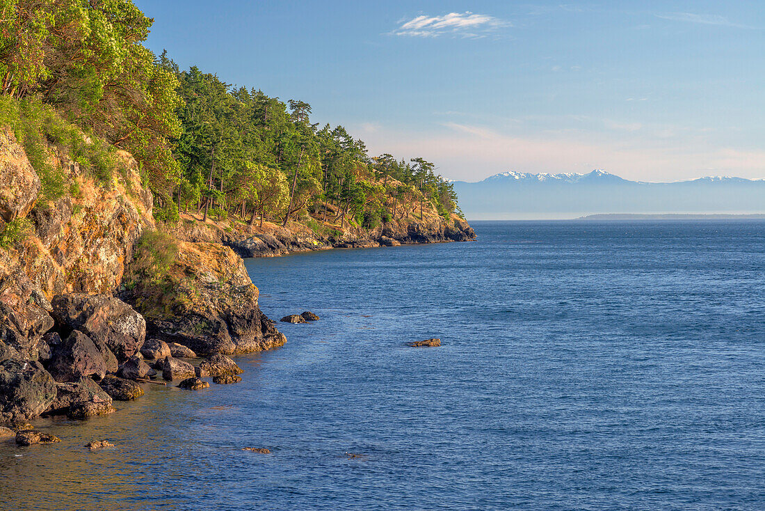 USA, Washington State, San Juan Island, Pacific madrone and Douglas fir grow above rocky shoreline along Haro Strait at San Juan County Park, Olympic Mountains rise in the distance.