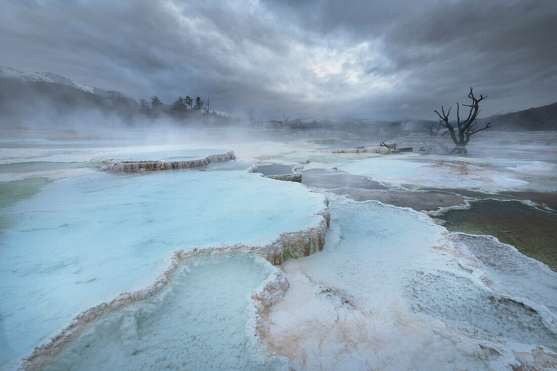 Deposits of travertine colored by thermophilic bacteria, Upper Terraces Mammoth Hot Springs, Yellowstone National Park.