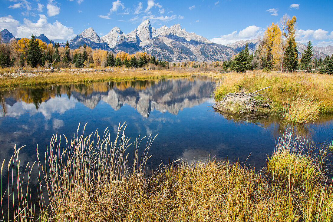 Usa, Wyoming, Grand Teton National Park, die Grand Teton Mountains spiegeln sich entlang des Snake Rivers bei der Schwabacher Landung.