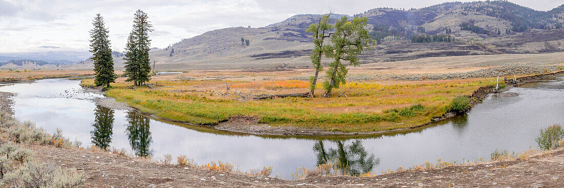 Yellowstone National Park, Wyoming, USA. Panorama landscape of Slough Creek.