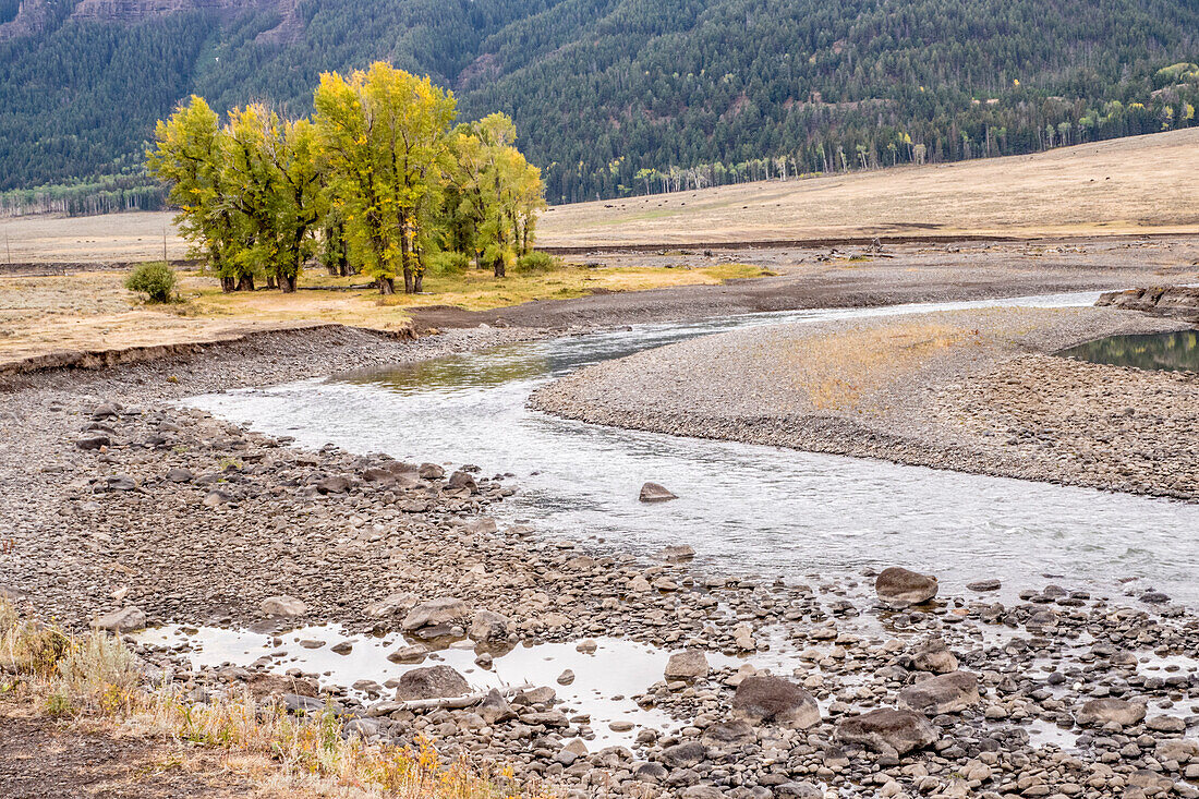 Yellowstone National Park, Wyoming, USA. Scenic landscape of Slough Creek.