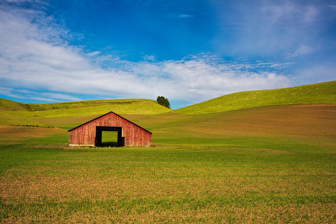 USA, Washington State, Red Barn in Spring