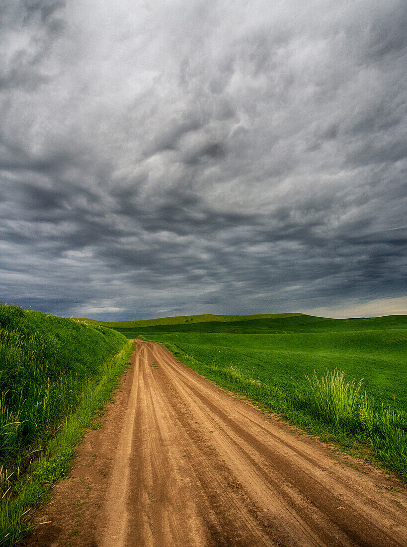 USA, Bundesstaat Washington, Palouse Country, Stürmischer Tag auf einer Landstraße