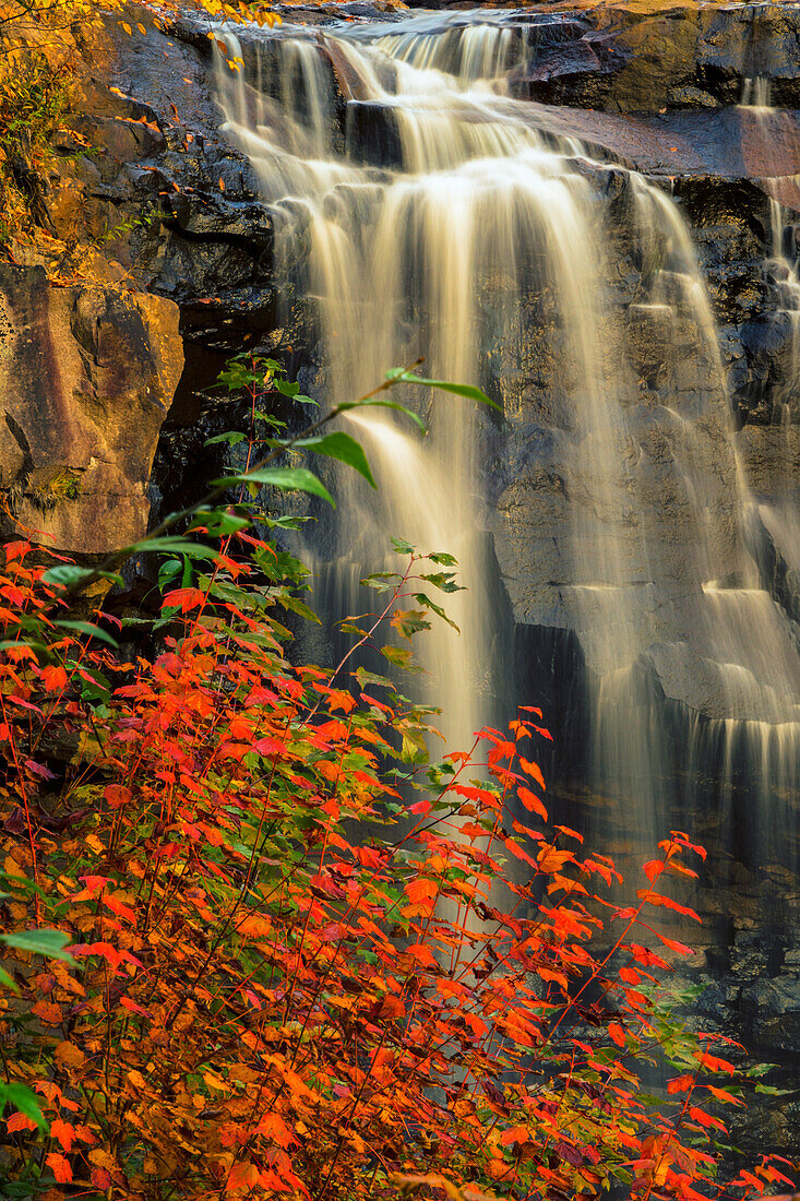 USA, West Virginia, Blackwater Falls State Park. Waterfall scenic