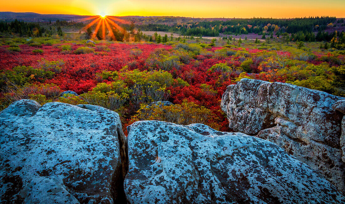 USA, West Virginia, Dolly Sods Wilderness Area. Sonnenuntergang über Tundra und Felsen