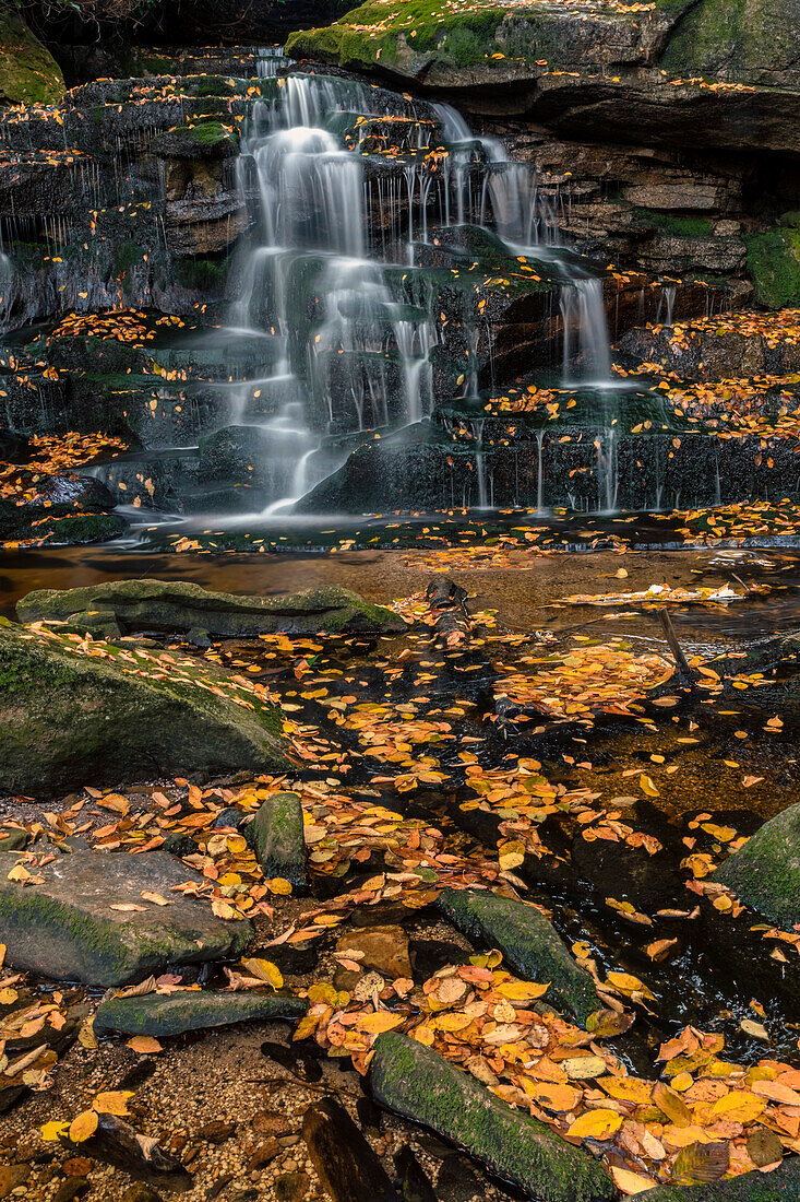 USA, West Virginia, Blackwater Falls State Park. Wasserfall, malerisch