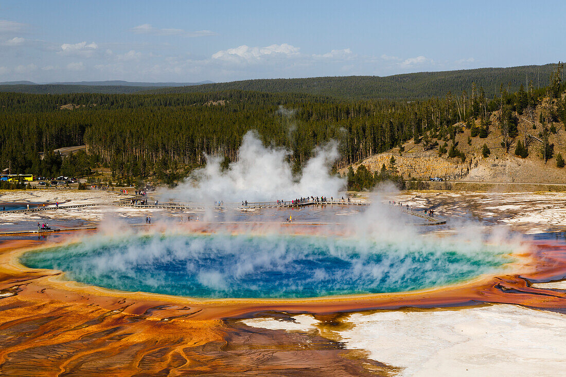 Blick von oben auf die Grand Prismatic Spring, die größte Quelle der USA und die drittgrößte der Welt, Midway Geyser Basin. Yellowstone-Nationalpark, Wyoming.