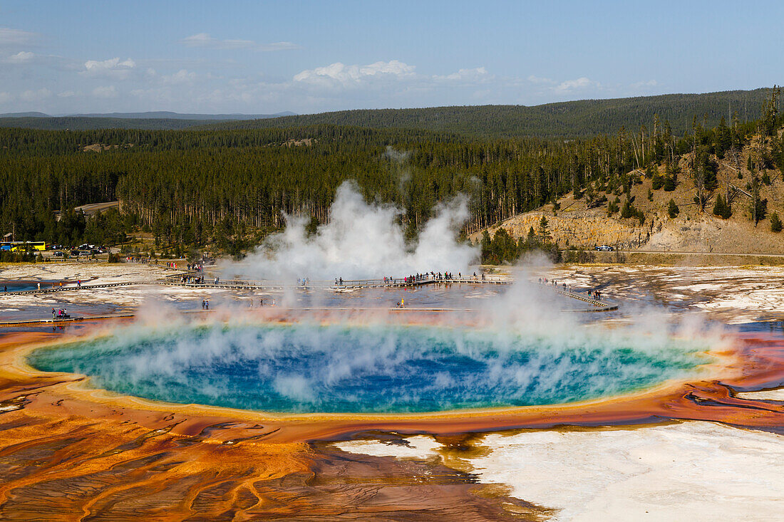 Elevated view of Grand Prismatic Spring, the largest in the U.S. and third largest in the world, Midway Geyser Basin. Yellowstone National Park, Wyoming.