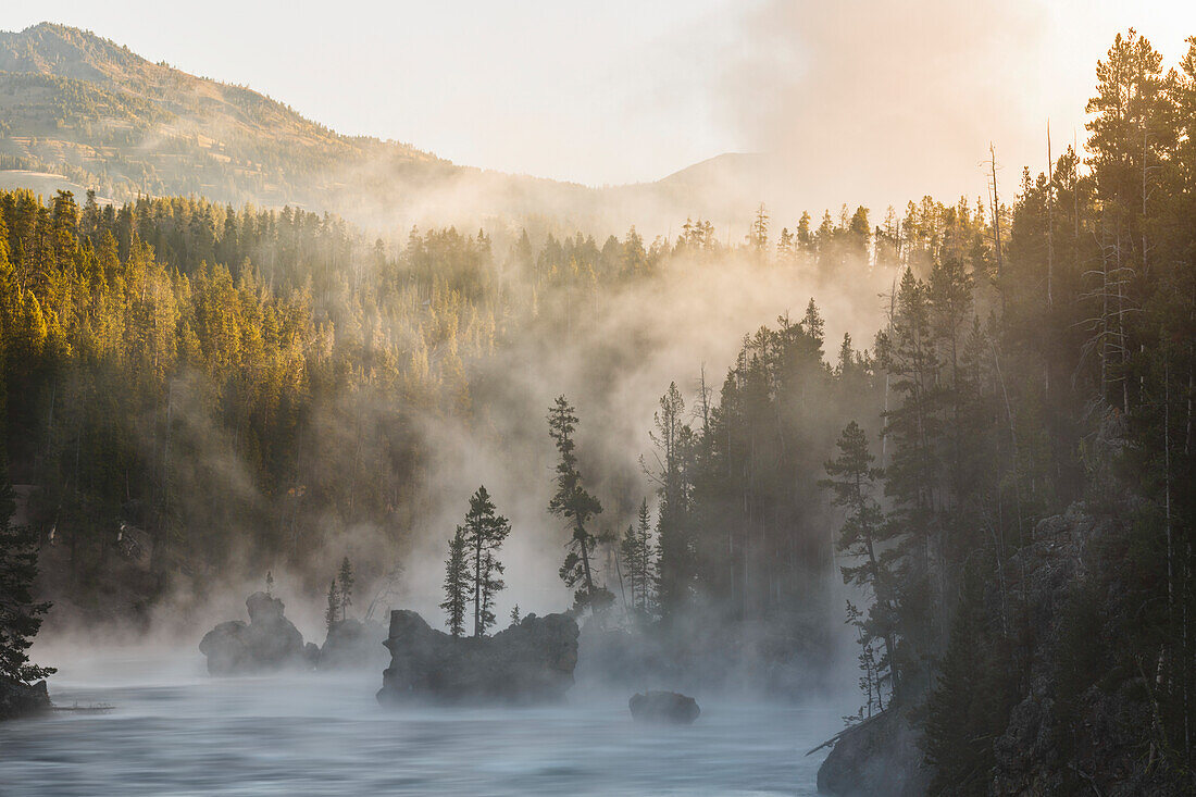 T-Stücke und Felsbrocken im Yellowstone River bei Sonnenaufgang, Yellowstone National Park, Wyoming.