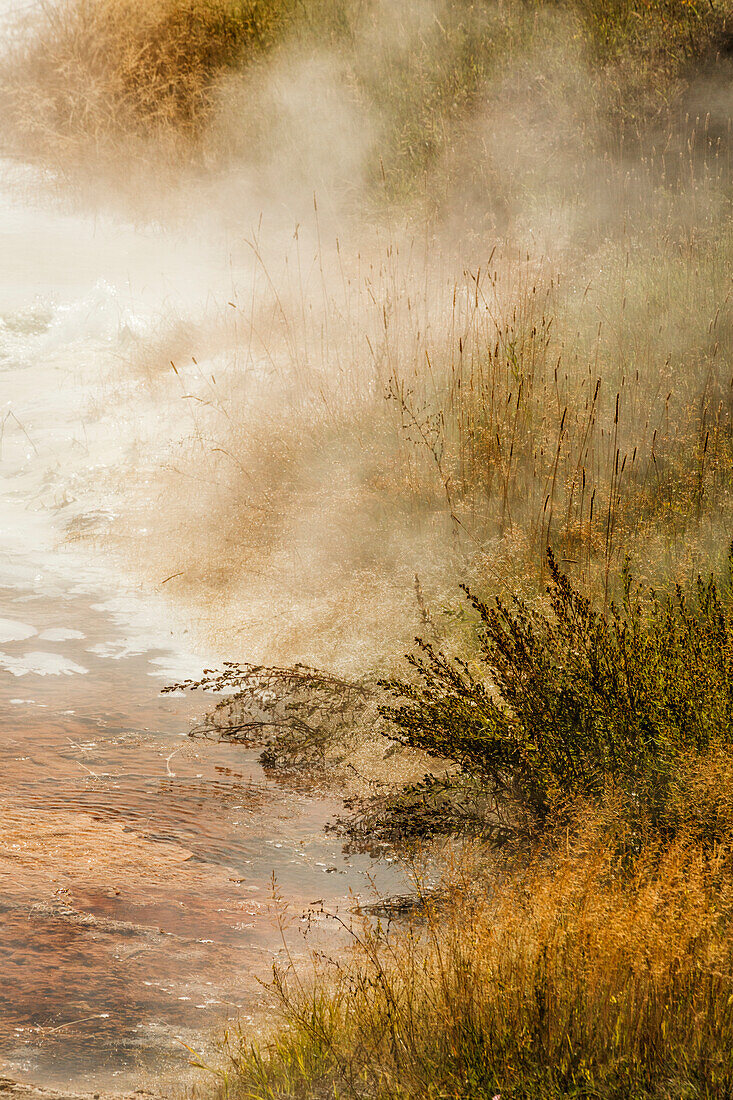 Steam at Canary Spring, Mammoth Hot Springs, Yellowstone National Park, Wyoming.