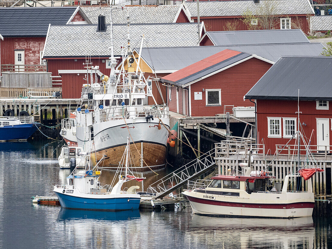 A view of the town of Reine, a fishing village on Moskenesoya in the Lofoten archipelago, Norway, Scandinavia, Europe