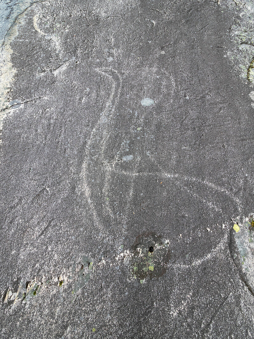 Prähistorische Felszeichnungen, Petroglyphen, in Leiknes, die Jagdszenen zeigen, Norwegen, Skandinavien, Europa