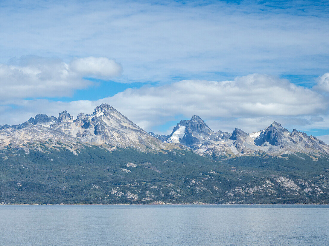 Blick auf das Andengebirge und den Notofagus-Wald im Lago Acigami, Feuerland, Argentinien, Südamerika