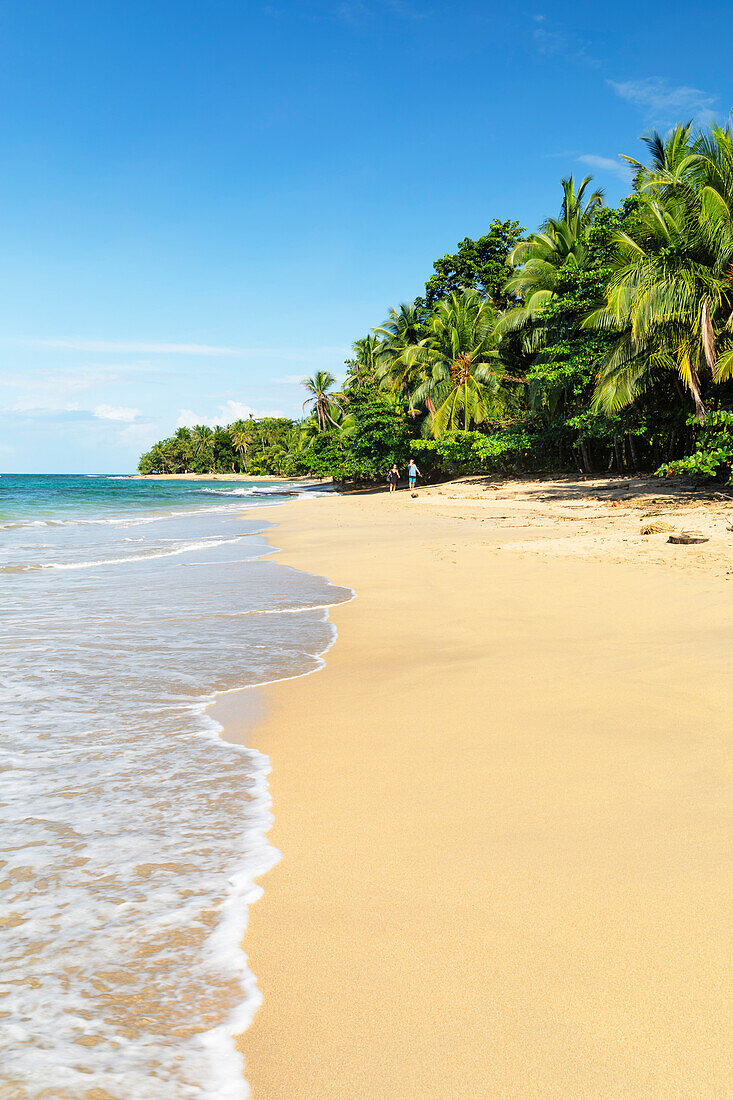 Playa Uva, Karibik, Costa Rica, Mittelamerika