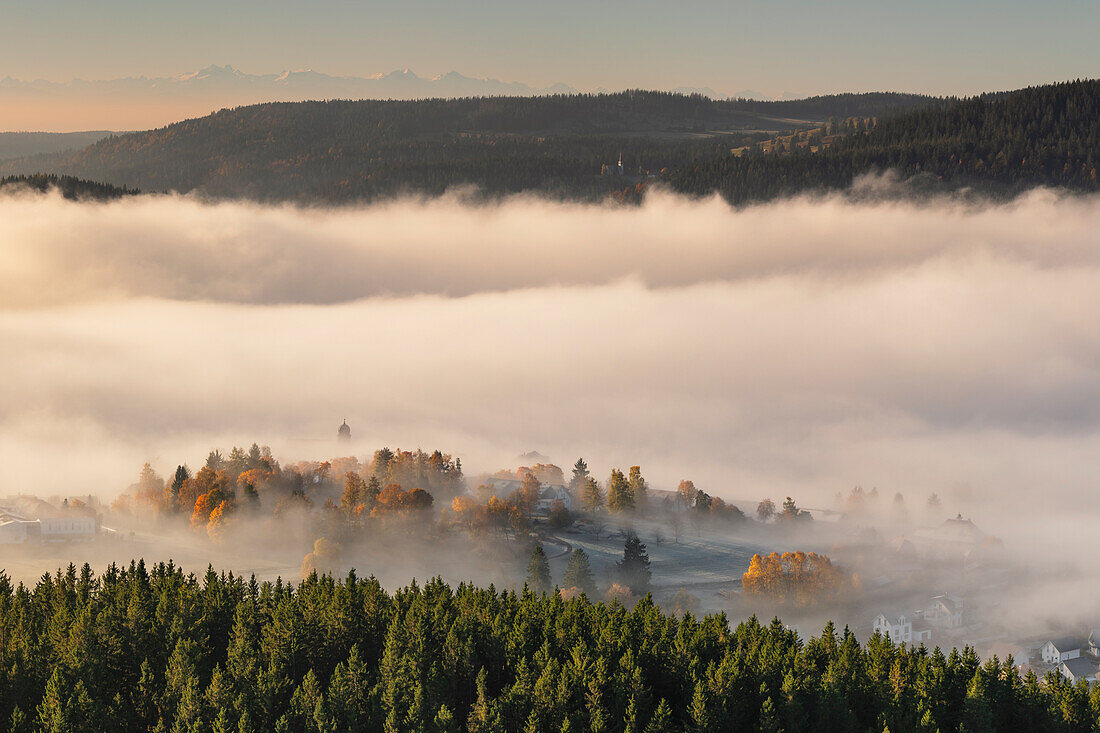 Frühmorgennebel über dem Schluchsee, Südschwarzwald, Baden-Württemberg, Deutschland, Europa