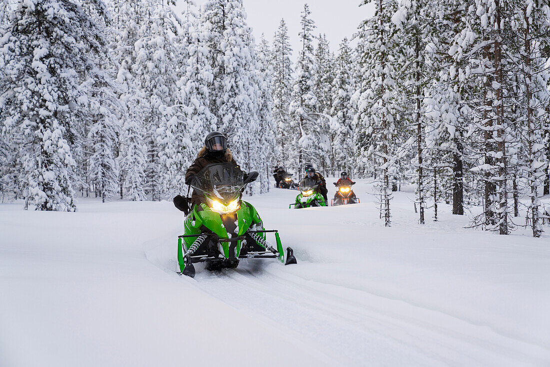 Tourists on snowmobiles in the winter forest covered with snow, Lapland, Sweden, Scandinavia, Europe