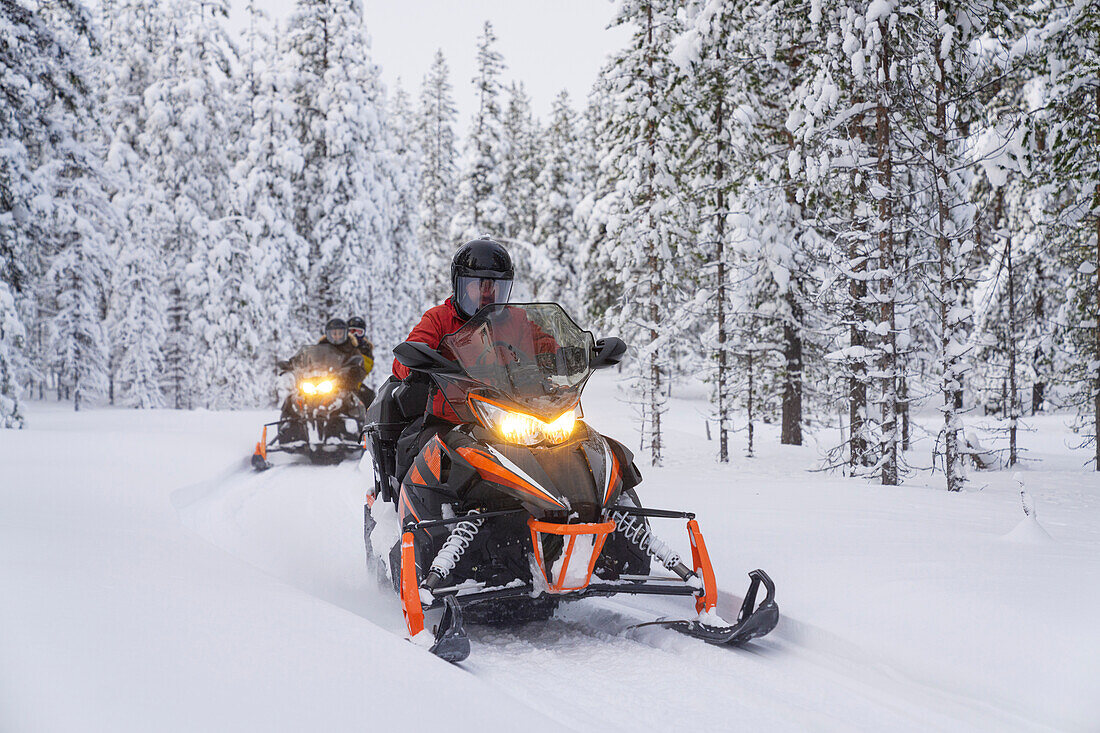 Drei Personen, die Motorschlitten fahren, eingerahmt von gefrorenen Bäumen im verschneiten Wald, Lappland, Schweden, Skandinavien, Europa
