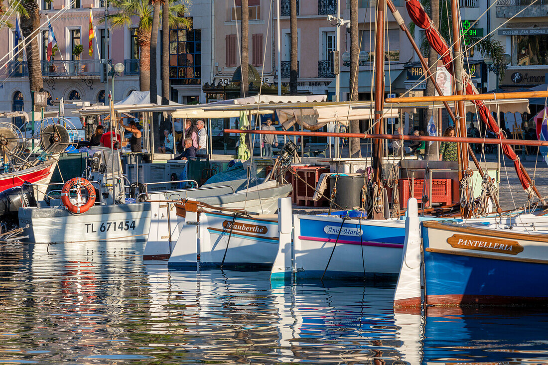 The Harbour at Sanary-sur-Mer, Var, Provence-Alpes-Cote d'Azur, France, Western Europe