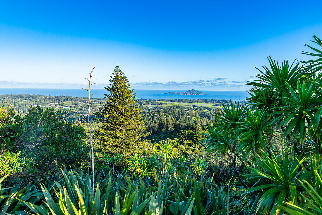 Blick über Norfolk Island, Australien, Pazifik