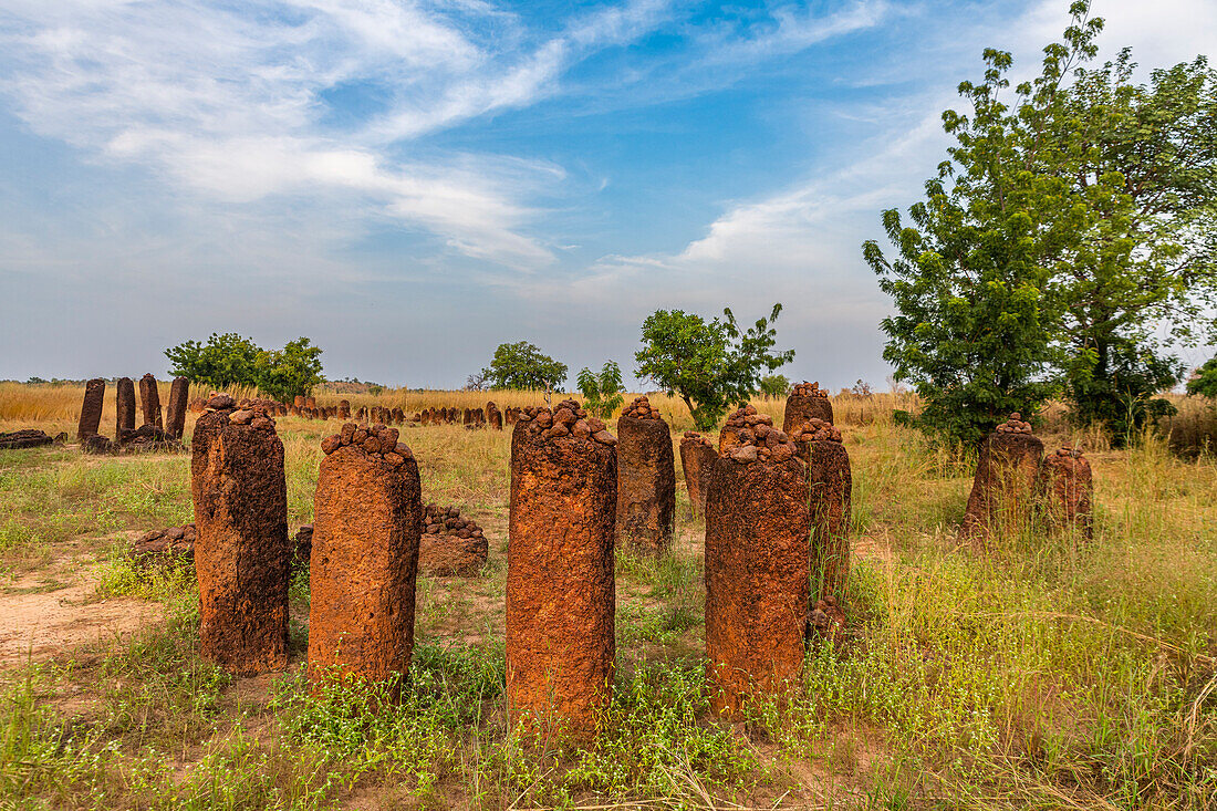 Senegambische Steinkreise, UNESCO-Welterbestätte, Wassu, Gambia, Westafrika, Afrika