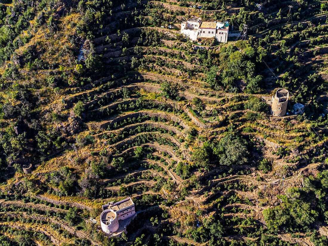 Green terraces, Fayfa mountain, Jazan province, Saudi Arabia, Middle East