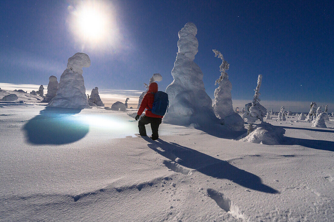 Tourist admiring the ice sculptures lit by moon standing in deep snow, Riisitunturi National Park, Posio, Lapland, Finland, Europe