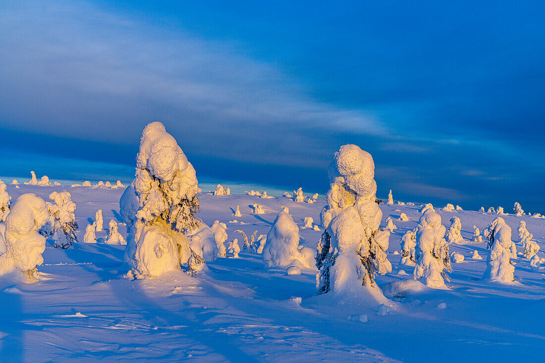 Eisskulpturen in der verschneiten arktischen Landschaft, Riisitunturi-Nationalpark, Posio, Lappland, Finnland, Europa