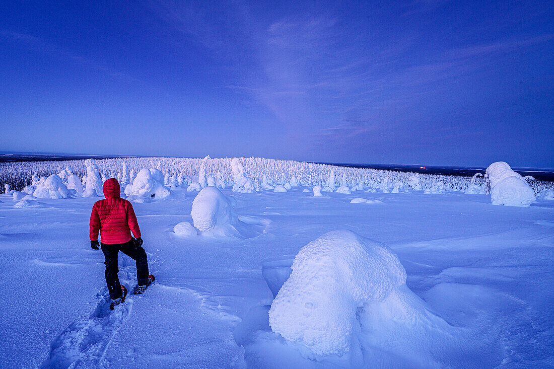 Mann mit Schneeschuhen bewundert den gefrorenen verschneiten Wald im blauen Licht der Abenddämmerung, Riisitunturi-Nationalpark, Posio, Lappland, Finnland, Europa