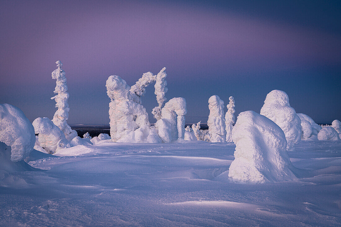 Eisskulpturen in der Abenddämmerung, Riisitunturi-Nationalpark, Posio, Lappland, Finnland, Europa