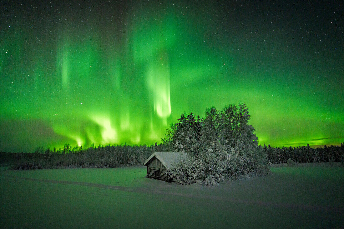 Gefrorene Berghütte im arktischen verschneiten Wald, beleuchtet vom grünen Licht der Aurora Borealis (Nordlicht), Tornio, Lulea, Lappland, Schweden, Skandinavien, Europa
