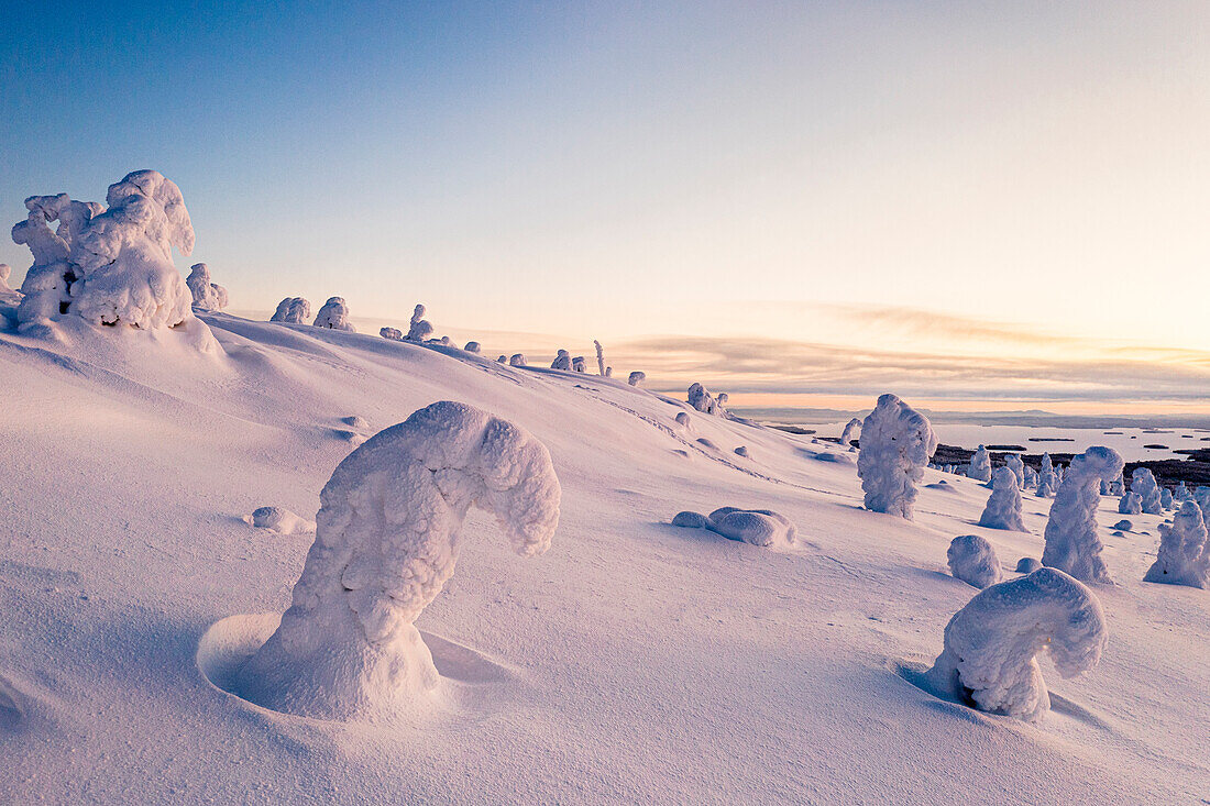 Eisskulpturen in der verschneiten Winterlandschaft von Finnisch-Lappland in der Morgendämmerung, Finnland, Europa