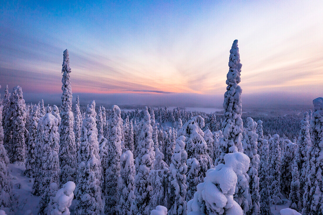Verschneiter gefrorener Wald bei Sonnenuntergang in der Winterlandschaft von Finnisch-Lappland, Finnland, Europa