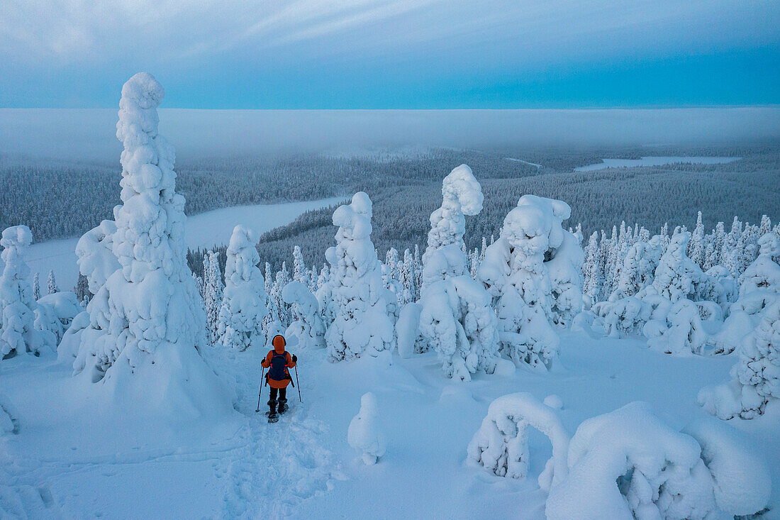 Luftaufnahme einer Frau beim Schneeschuhwandern im schneebedeckten Wald in der Dämmerung, Oulanka National Park, Ruka Kuusamo, Lappland, Finnland, Europa