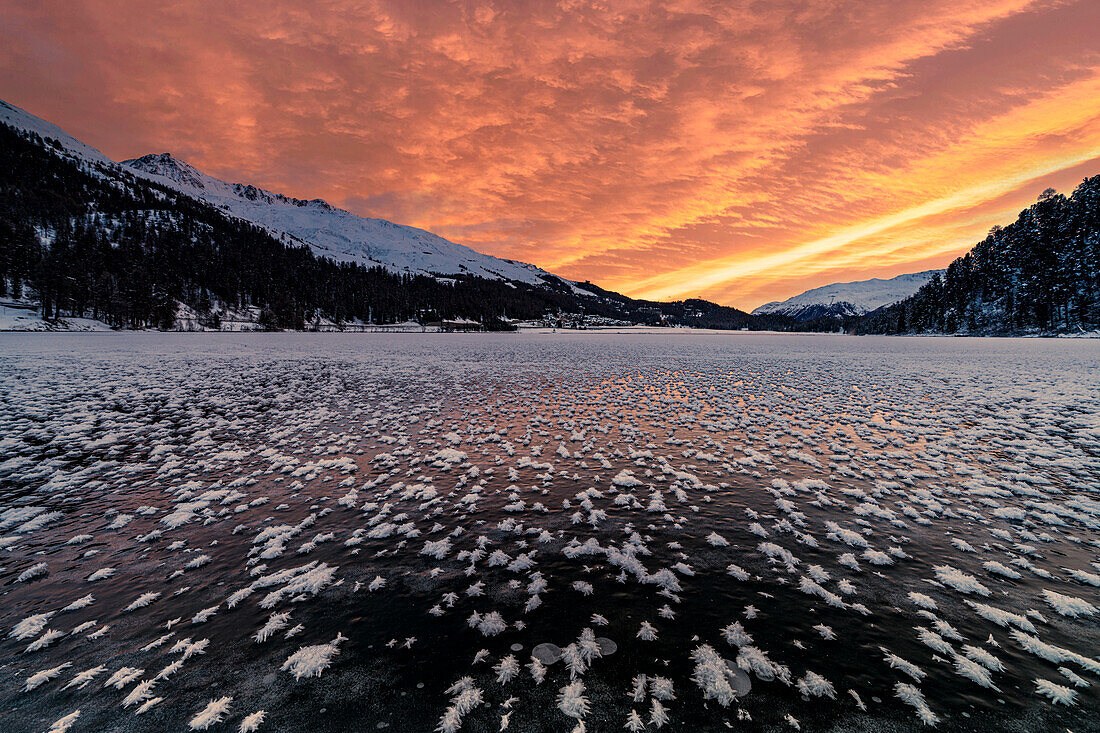 Brennender Himmel in der Morgendämmerung über dem zugefrorenen, mit Eisblumen bedeckten Champfer-See, Engadin, Kanton Graubünden, Schweiz, Europa