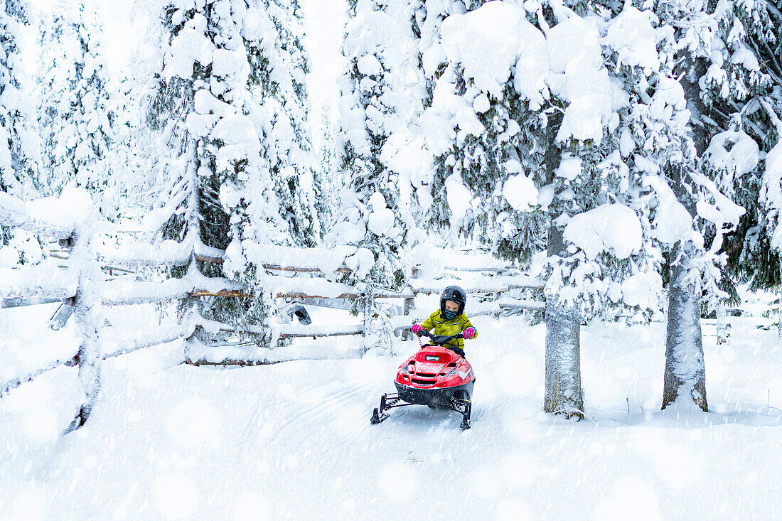 Glücklicher Junge beim Fahren eines Schneemobils im arktischen Wald, Lappland, Finnland, Europa
