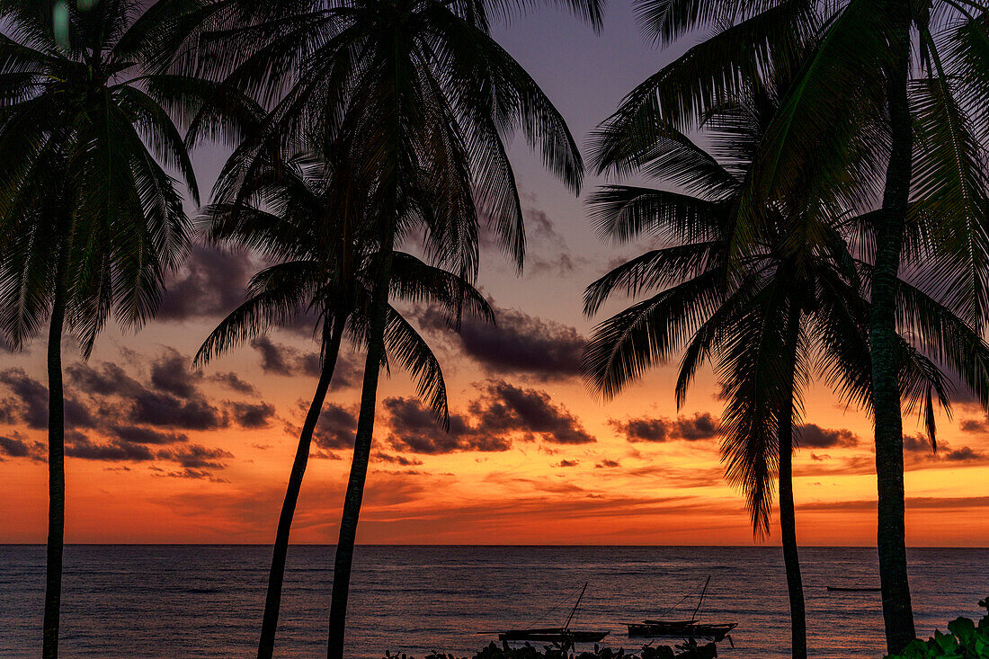 Tropischer Sonnenaufgang über Silhouetten von Palmen und vertäuten Booten, Jambiani, Sansibar, Tansania, Ostafrika, Afrika
