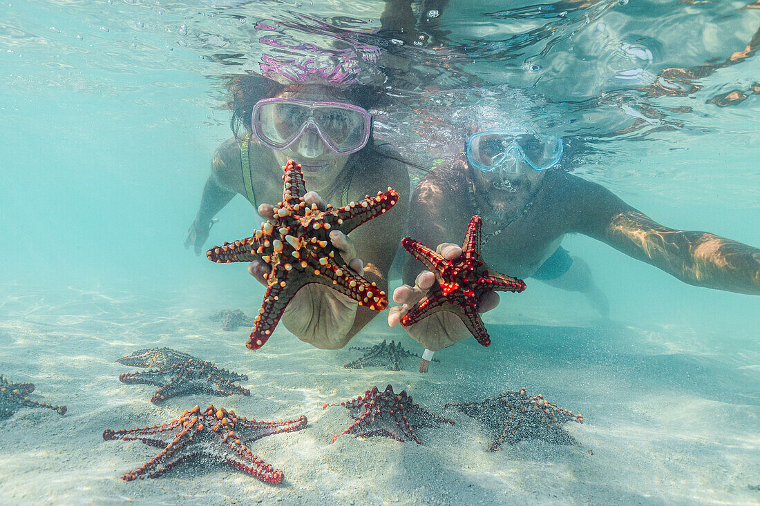 Mann und Frau mit Tauchermasken zeigen Seesterne beim Schwimmen unter Wasser in der exotischen Lagune, Sansibar, Tansania, Ostafrika, Afrika