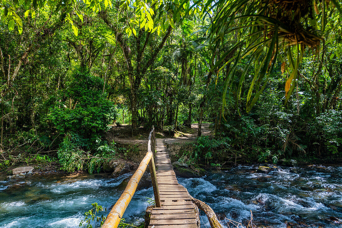 Fußgängerbrücke über den Batari-Fluss, Atlantikwald-Reservat Süd-Ost, UNESCO-Welterbe, Alto Ribeira Touristic State Park, Bundesstaat Sao Paulo, Brasilien, Südamerika