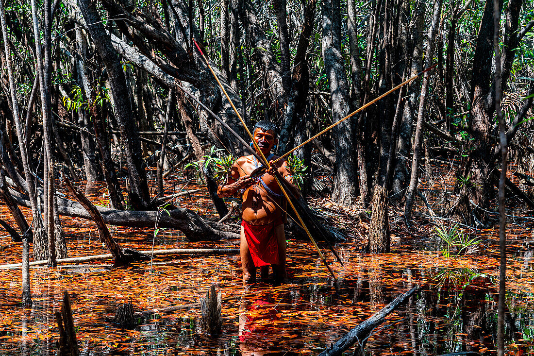 Man from the Yanomami tribe with bow and arrow in the swamplands, southern Venezuela, South America