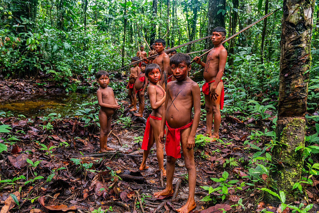 Yanomami-Stamm wandert durch den Dschungel, Südvenezuela, Südamerika