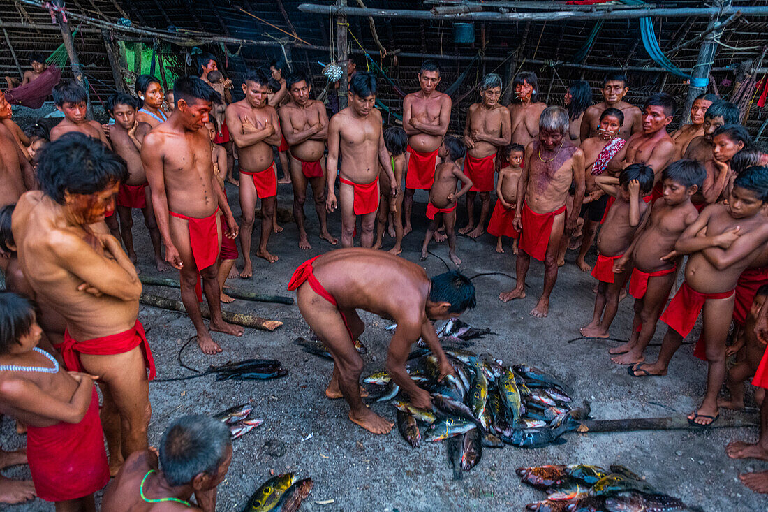 Männer vom Stamm der Yanomami, die frisch gefangenen Fisch verteilen, Südvenezuela, Südamerika