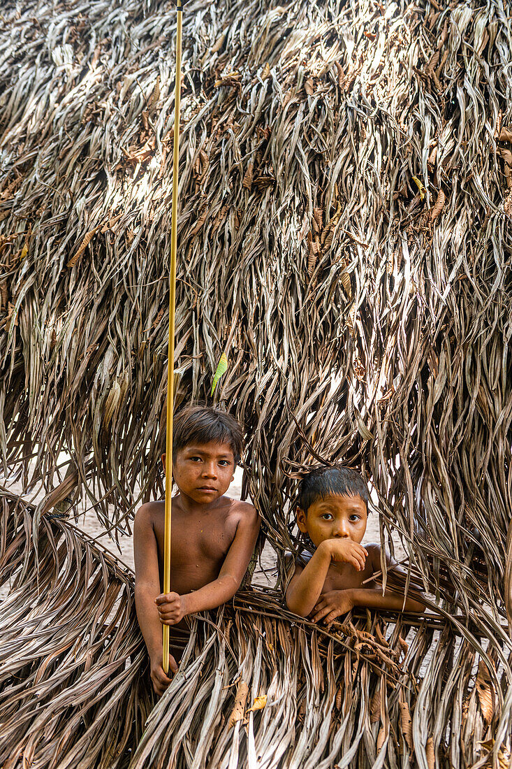 Junge Jungen schauen durch ein Loch, Yanomami-Stamm, Südvenezuela, Südamerika