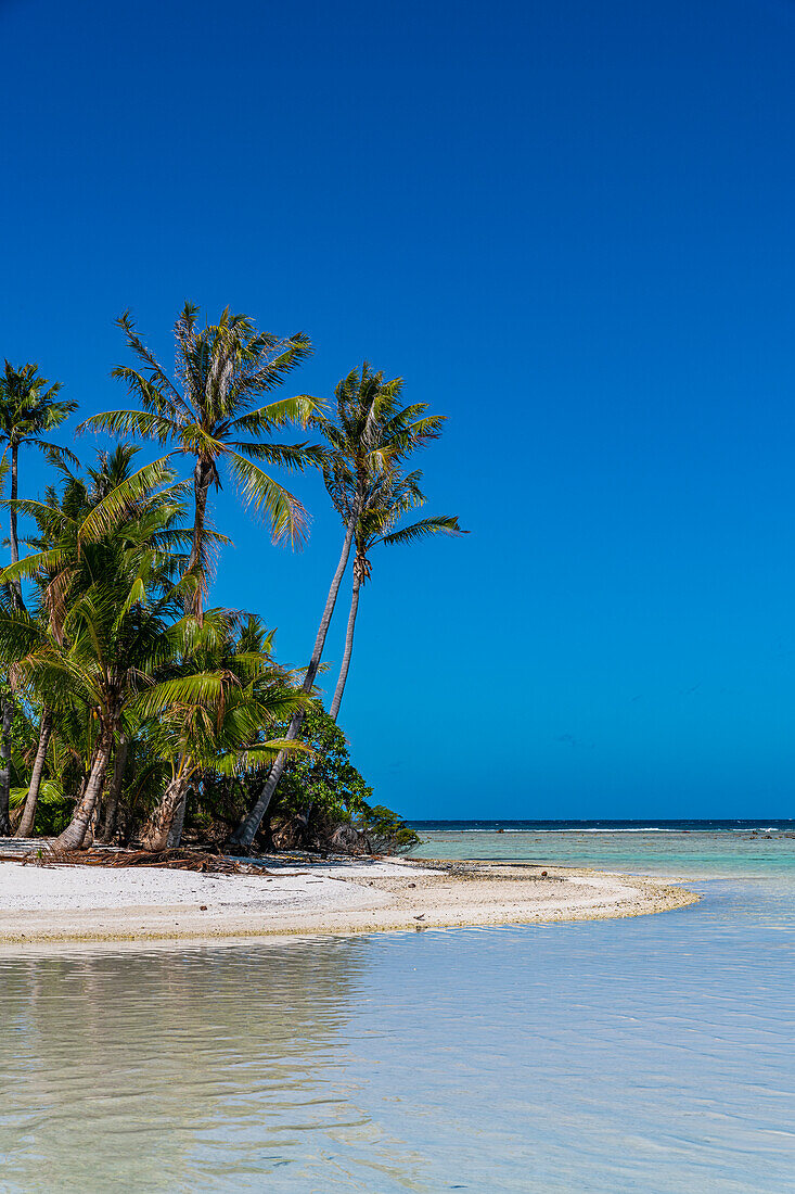 Palm fringed motu in the Blue Lagoon, Rangiroa atoll, Tuamotus, French Polynesia, South Pacific, Pacific