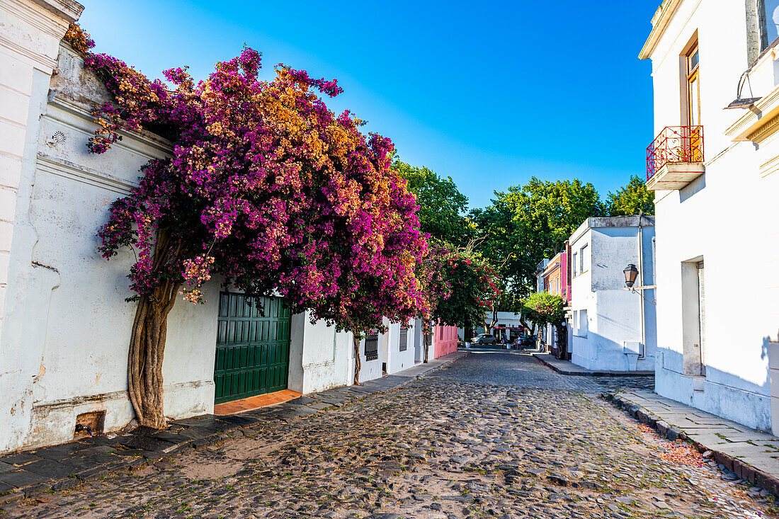 Colonial architecture, Colonia del Sacramento, UNESCO World Heritage Site, Uruguay, South America