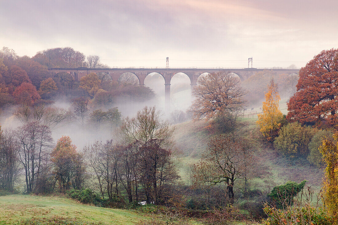 Morgennebel, der zwischen den herbstlich gefärbten Bäumen und dem Eisenbahnviadukt bei Dane-In-Shaw Pasture, Cheshire, England, Vereinigtes Königreich, Europa, wirbelt