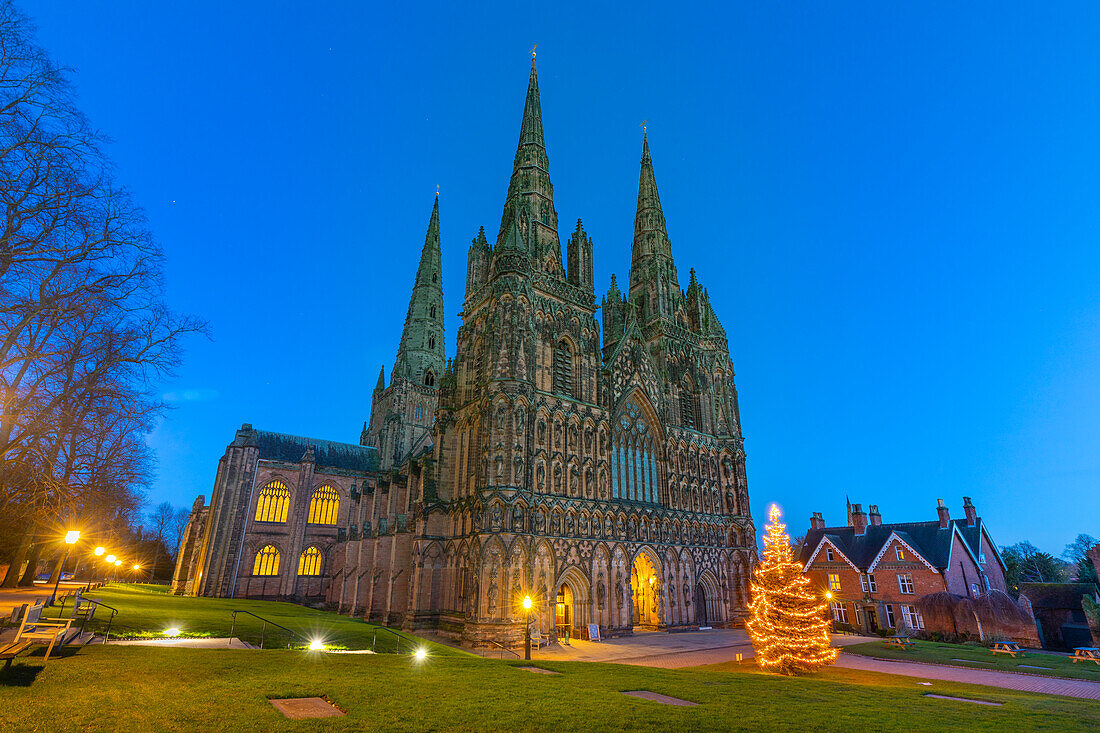Lichfield Cathedral, Weihnachtsbaum, Lichfield, Staffordshire, England, Vereinigtes Königreich, Europa