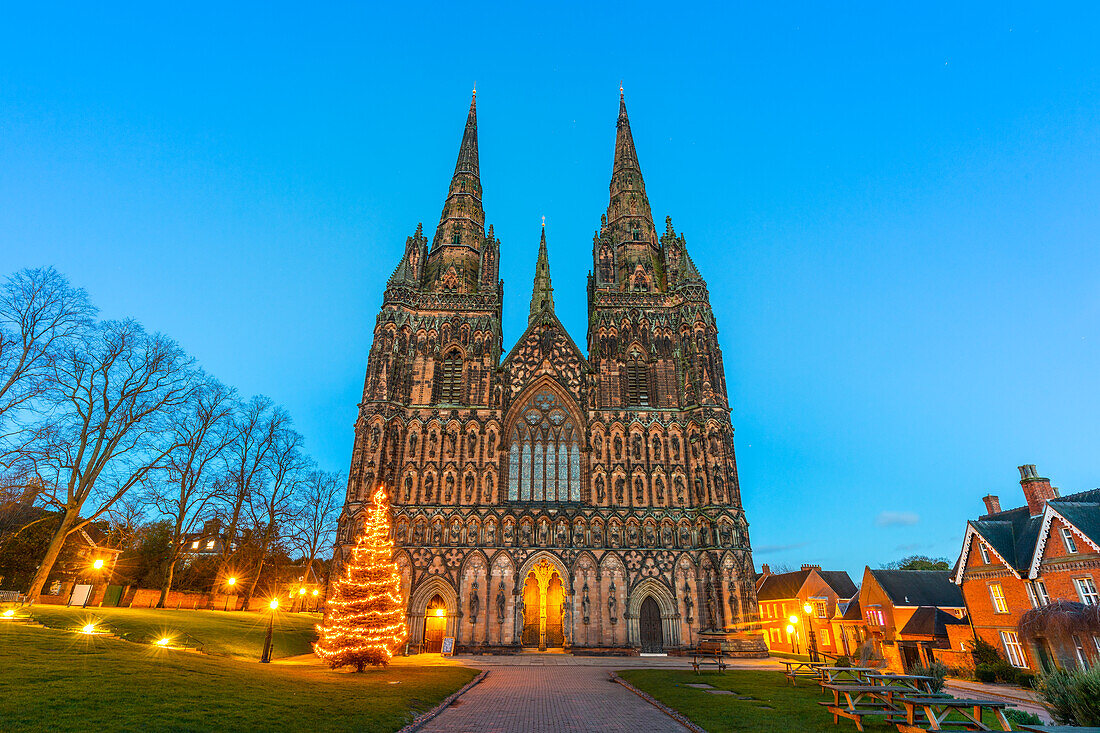 Lichfield Cathedral, Christmas tree, Lichfield, Staffordshire, England, United Kingdom, Europe