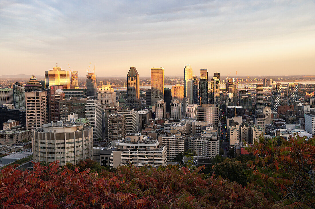 Blick auf die Skyline von Montreal vom Mont Royal Park im Herbst bei Sonnenuntergang, Montreal, Québec, Kanada, Nordamerika