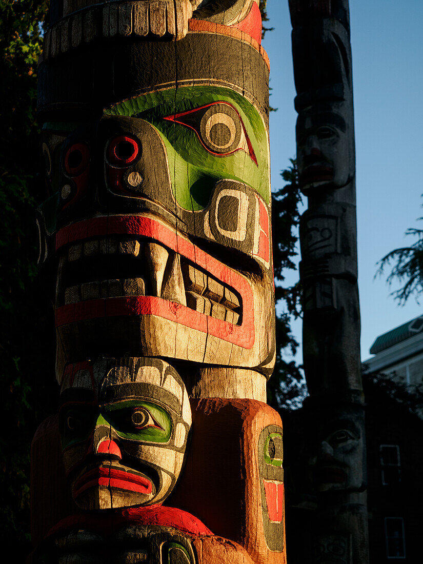 First Nations totem poles, Thunderbird Park, Vancouver Island, next to the Royal British Columbia Museum, Victoria, British Columbia, Canada, North America